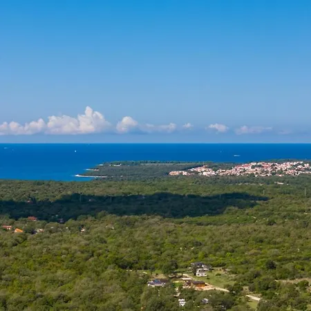 Colomba By Guide Mednjan