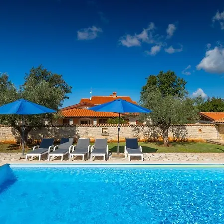 Colomba By Guide Mednjan