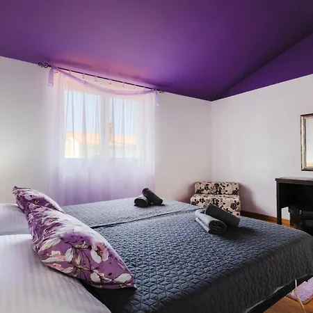 فيلة Colomba By Guide